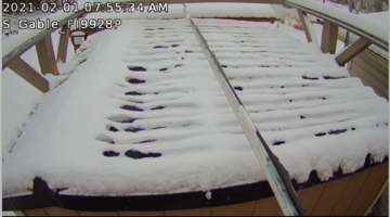 Screen Shot 2021-02-01 at 7.55.35 AM.png